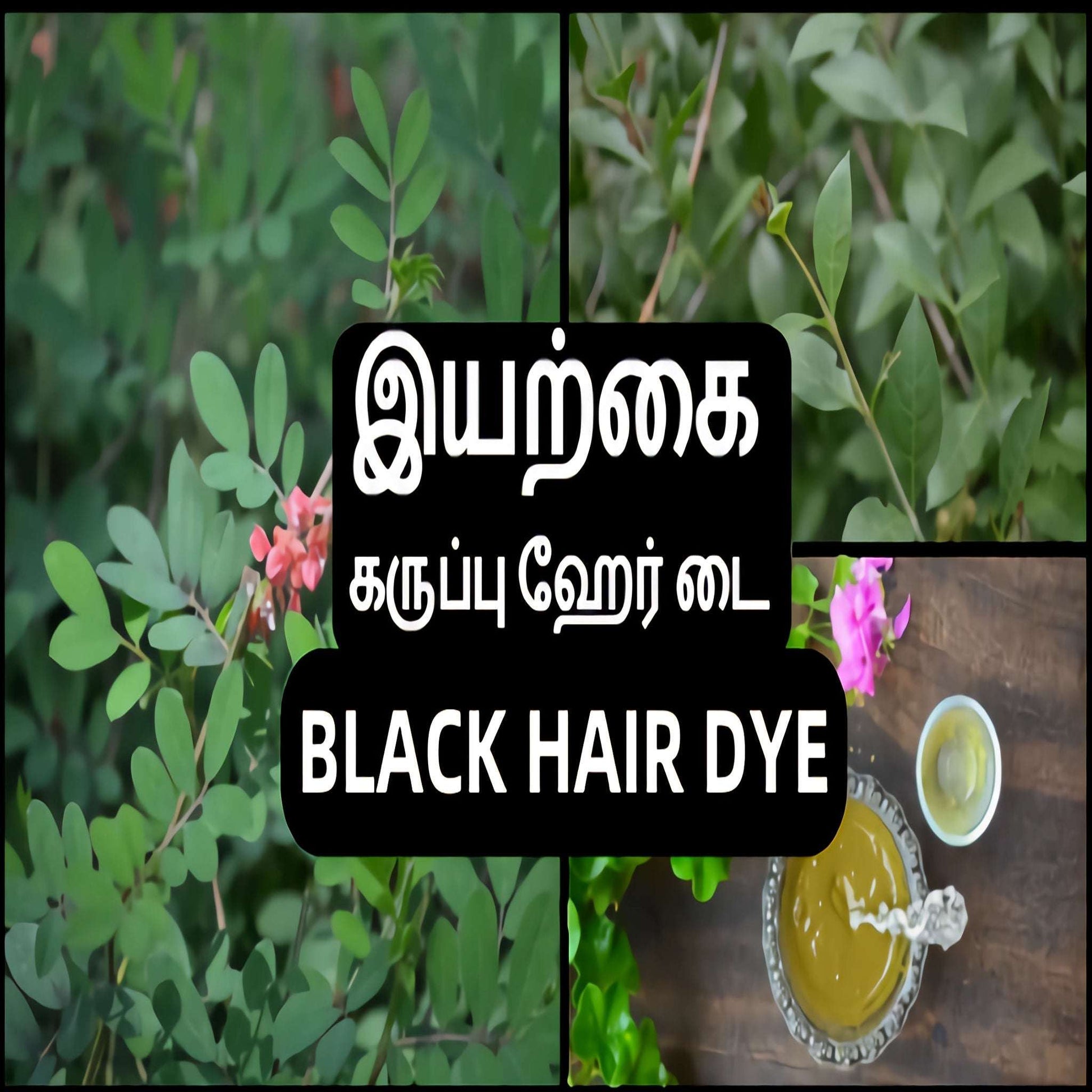 Herbal Black Dye– Ammonia - Free - INDVITA